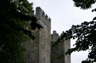 Bunratty Castle - eine mittelalterliche Burg zwischen zwei Bäumen :-)