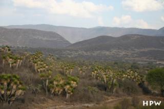 Fahrt von Puebla durch die Sierra Madre Zentral nach Oaxaca