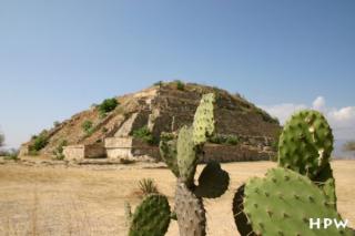 Monte Alban - eine unbenannte Pyramide auf der Südplattform hinter einen Kaktus