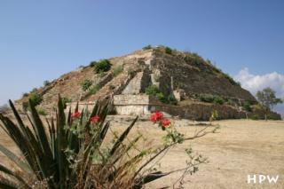 Monte Alban - eine unbenannte Pyramide auf der Südplattform hinter einer Blume