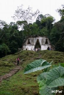 Palenque-Tempel des Blattkreuzes