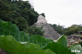 Palenque - Tempel der Inschriften vor einem Stück Natur
